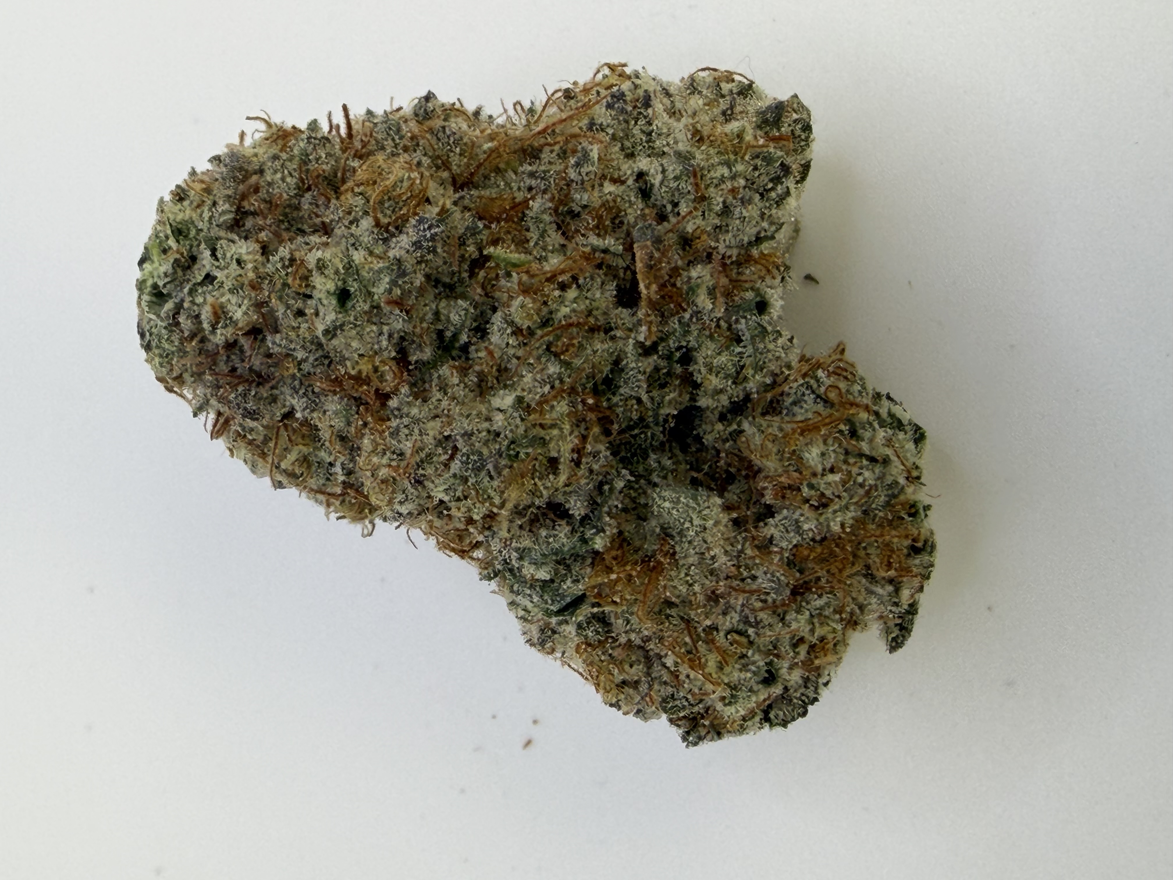 Blueberry Pie Strain